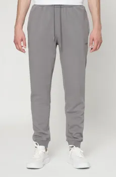 Мужские серые спортивные брюки Серый L PRPY PMSPPHZE0022