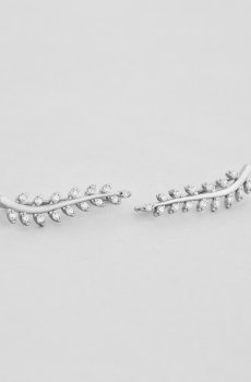 Серьги Деликатность природы