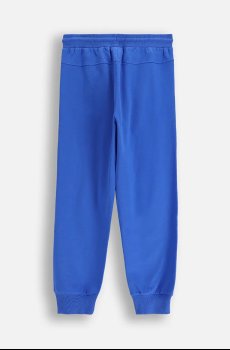 Детские хлопковые штаны Coccodrillo