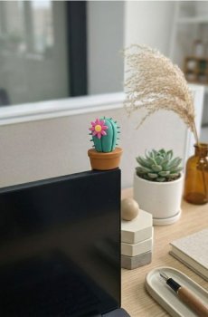 Декорація для ноутбука у формі кактуса - блідо-зелений