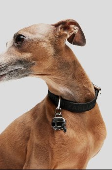 Ошейник для собаки Karl Lagerfeld Ikon