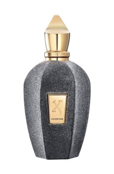 Xerjoff Ouverture Парфюмированная вода унисекс, 100 мл (ТЕСТЕР)