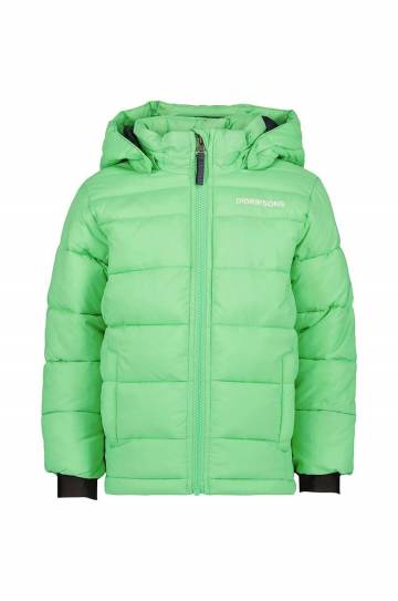 Детская зимняя куртка Didriksons RODI KIDS JACKET цвет зелёный Детская зимняя куртка Didriksons RODI KIDS JACKET цвет зелёный