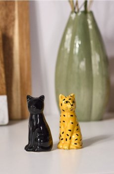 Сільничка і перечниця - різнобарвний