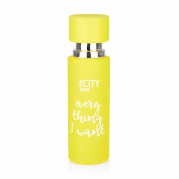 The City Spirit Everything I Want Парфюмированная вода женская, 30 мл The City Spirit Everything I Want Парфюмированная вода женская, 30 мл