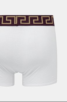 Боксеры Versace
