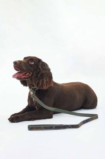 Поводок для собаки Barbour