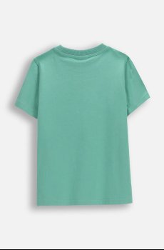 Детская хлопковая футболка Coccodrillo