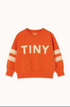 Детская хлопковая кофта Tinycottons STRIPES LOGO SWEATSHIRT