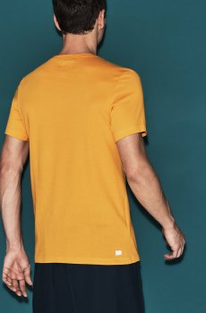 Lacoste футболка чоловіча