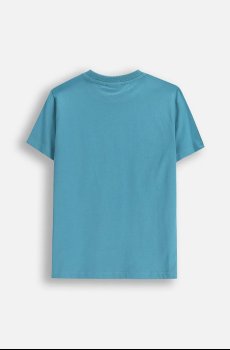 Детская хлопковая футболка Coccodrillo