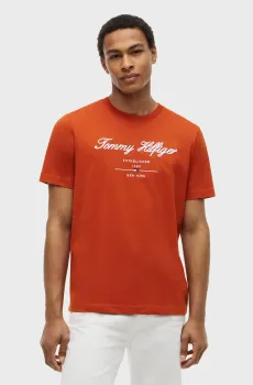 Мужская оранжевая футболка SCRIPT Оранжевый XL Tommy Hilfiger MW0MW33691