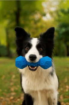 Іграшка для собак - блакитний