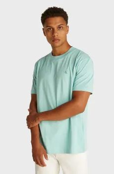 Мужская бирюзовая футболка PAINTED Бирюзовый S Calvin Klein Jeans J30J327523