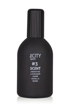 The City Spirit Spicy 3 Scent Туалетная вода мужская, 115 мл