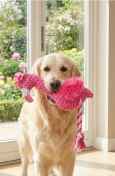 Плюшева іграшка для собаки з пищалкою у формі фламінго - рожевий