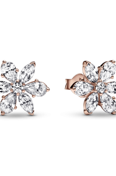 Сережки "Блискучий гербарій"