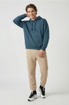 Штани спортивні regular fit - бежевий