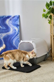 Закритий лоток для котів з лопаткою в комплекті - сірий