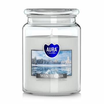Ароматическая свеча в банке Bispol Scented Candle Aura Winter Air, 500 г (snd99-375) Ароматическая свеча в банке Bispol Scented Candle Aura Winter Air, 500 г (snd99-375)