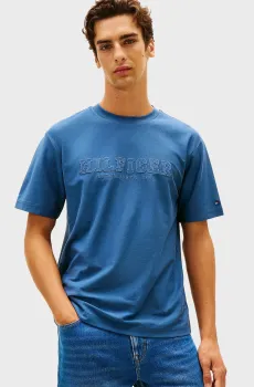 Мужская голубая футболка MEDIA GRAPHIC TEE Голубой XL Tommy Hilfiger MW0MW41766