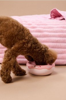 Керамічна миска для тварин із мотивом пончика - пастельний рожевий
