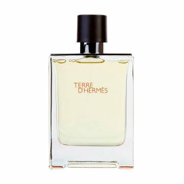 Hermes Terre DHermes Туалетная вода мужская, 100 мл Hermes Terre DHermes Туалетная вода мужская, 100 мл