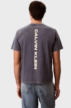 Мужская синяя футболка 20S WASHED SPINE GRAPHIC Синий L Calvin Klein Jeans LV04RG834G
