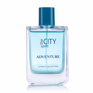 The City Spirit Stripes Adventure Туалетная вода мужская, 100 мл The City Spirit Stripes Adventure Туалетная вода мужская, 100 мл