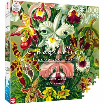 Пазл GoodLoot Imagination Orchid Ernst Haeckel 1000 елементів (5908305247531) Пазл GoodLoot Imagination Orchid Ernst Haeckel 1000 елементів (5908305247531)