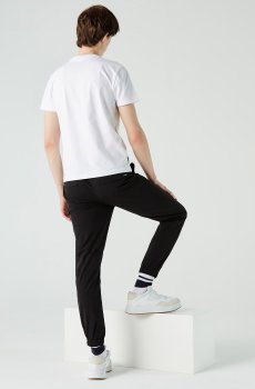 Lacoste футболка чоловіча