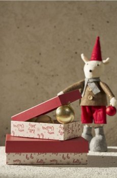 Подарункові коробки, набір з 2 - червоний