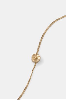 Цепочка Coach