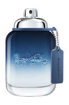 Coach Blue 2020 Туалетная вода мужская, 100 мл