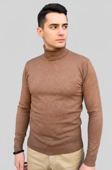 Мужской коричневый гольф-водолазка RG-48-golf-korichnevij