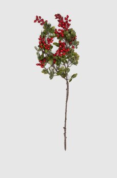 Декоративная ветвь шиповника