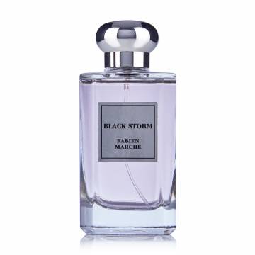 Fabien Marche Black Black Storm Парфюмированная вода мужская, 100 мл