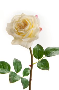 Искусственный цветок home & lifestyle