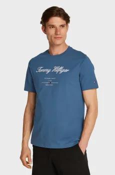 Мужская синяя футболка SCRIPT LOGO TEE Синий L Tommy Hilfiger MW0MW33691