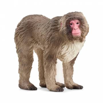 Фігурка Schleich Японська макака (14871) Фігурка Schleich Японська макака (14871)