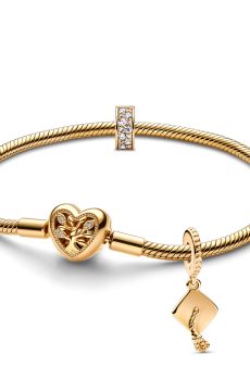 Подарунковий комплект "Академічна шапочка"