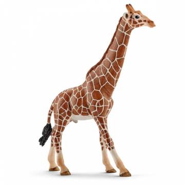 Ігрова фігурка Schleich «Тварини Африки. Самець Жирафа» Ігрова фігурка Schleich «Тварини Африки. Самець Жирафа»