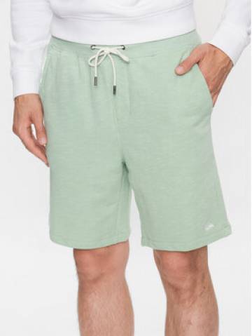 Quiksilver Спортивні шорти Bayrise EQYFB03322 Зелений Regular Fit Quiksilver Спортивні шорти Bayrise EQYFB03322 Зелений Regular Fit