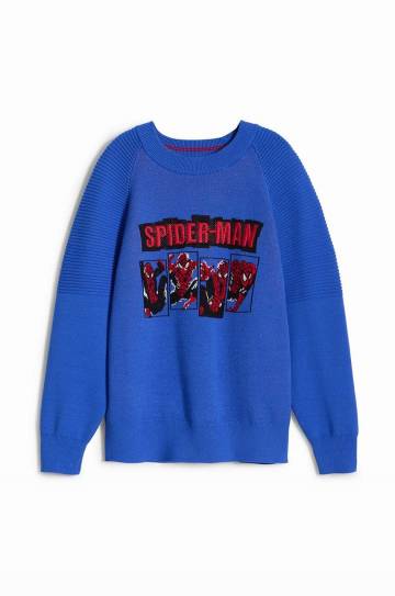 Детская кофта Desigual SPIDERMAN с аппликацией 24WBJF02