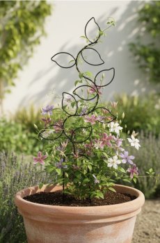 Залізна опора для рослин з мотивом листя - чорний