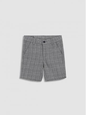 Coccodrillo Шорти з тканини WC3119503EBB Сірий Regular Fit Coccodrillo Шорти з тканини WC3119503EBB Сірий Regular Fit