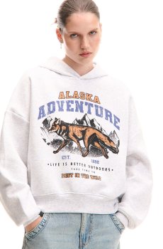 Cropp - Худі з принтом - light grey