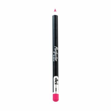 Карандаш для губ Dini Perfector Lip Pencil 304, 2 г Карандаш для губ Dini Perfector Lip Pencil 304, 2 г