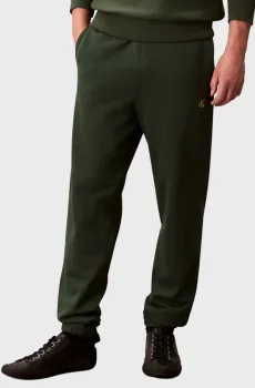 Мужские темно-зеленые спортивные брюки EU 350TERRY Зеленый L Calvin Klein Jeans LV04RD241G