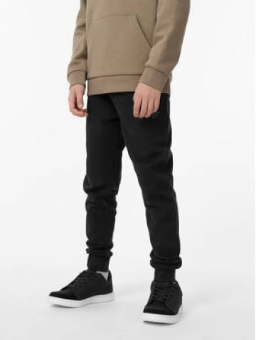 4F Спортивні штани 4FJAW23TTROM410 Чорний Regular Fit 4F Спортивні штани 4FJAW23TTROM410 Чорний Regular Fit